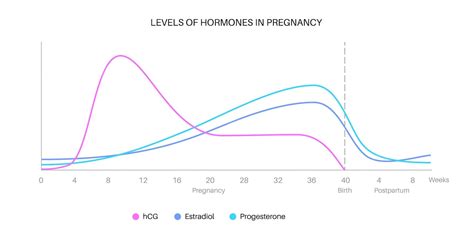 Hormones Early Pregnancy Chart