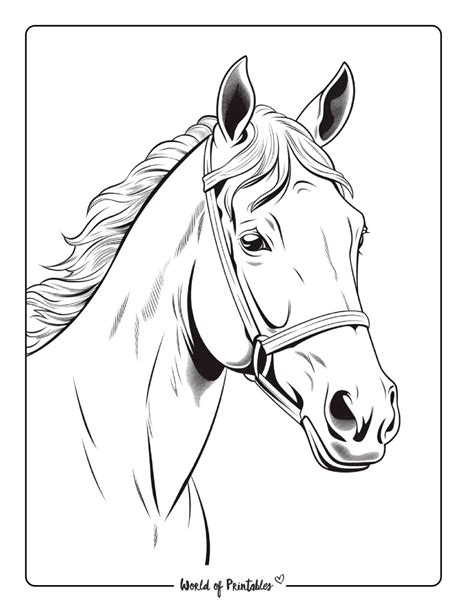 Horse Coloring Books Printable