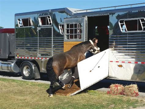 Horse Transport Services - H.T.S.