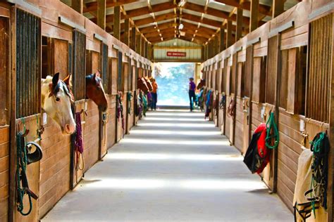 Horse boarding stable