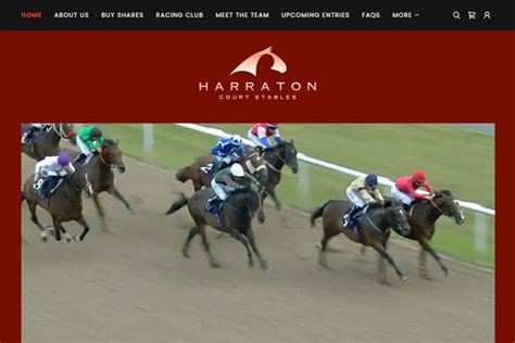 Horse racing syndicates Harraton Court