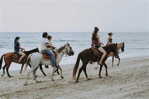 Berkuda di Pasir Pantai