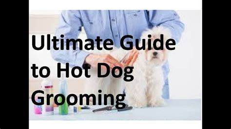 Hotdogs Grooming & Day Care