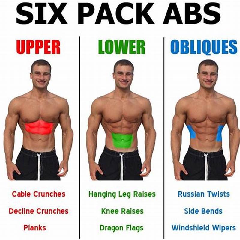 How Abs Form
