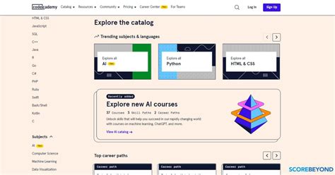 How Do I Search The Codeacademy Catalog