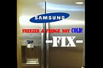 How Do You Fix a Samsung RSG257 Freezer
