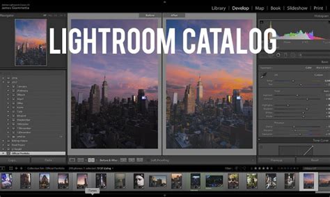 How Do You Move A Lightroom Catalog