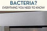 How Hot Does a Microwave Have to Get to Kill Bacteria