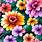 How-Many-Flowers-In-A-Bouquet