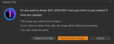 How To Delete From Disk Capture One Catalog