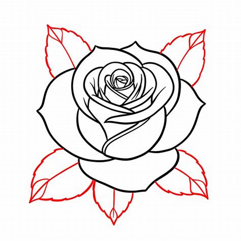 How To Draw A Rose Pattern