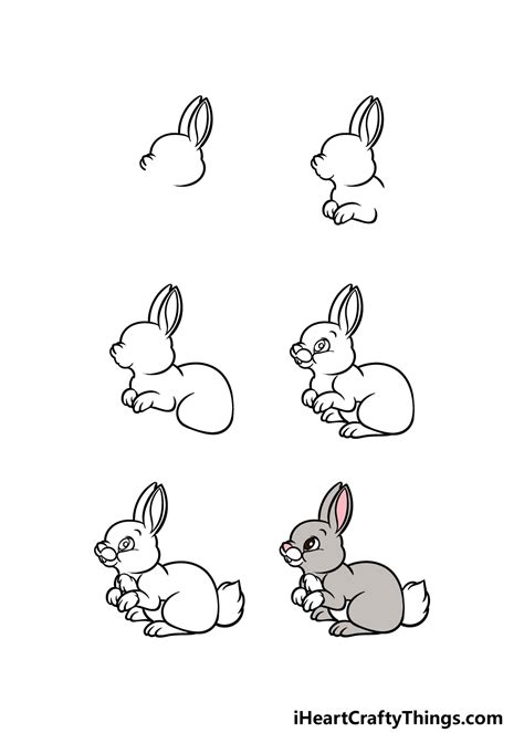 How To Draw Rabbit Cartoon
