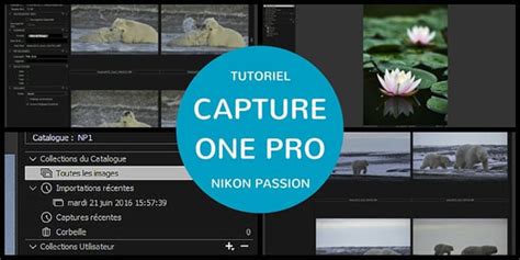 How To Export Capture One Catalogue As Session