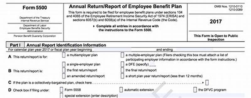 How To File Form 5500