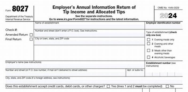 How To File Form 8027 Electronically