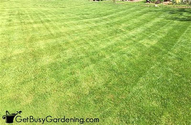 How To Get Checkerboard Pattern In Lawn