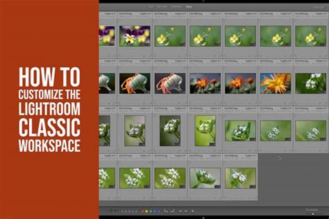 How To Merge Lightroom Classic Catalogs