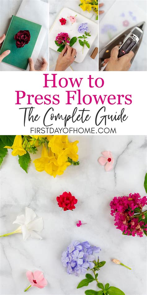 How-To-Press-Flowers
