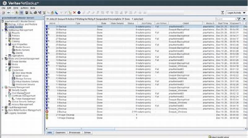 How To Query Netbackup Catalog For Accelerator Jobs