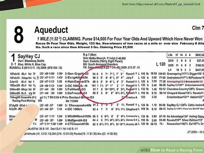 How To Read A Racing Form Guide