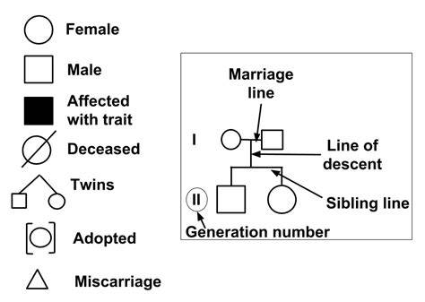 How To Read And Infer Information From A Pedigree Chart