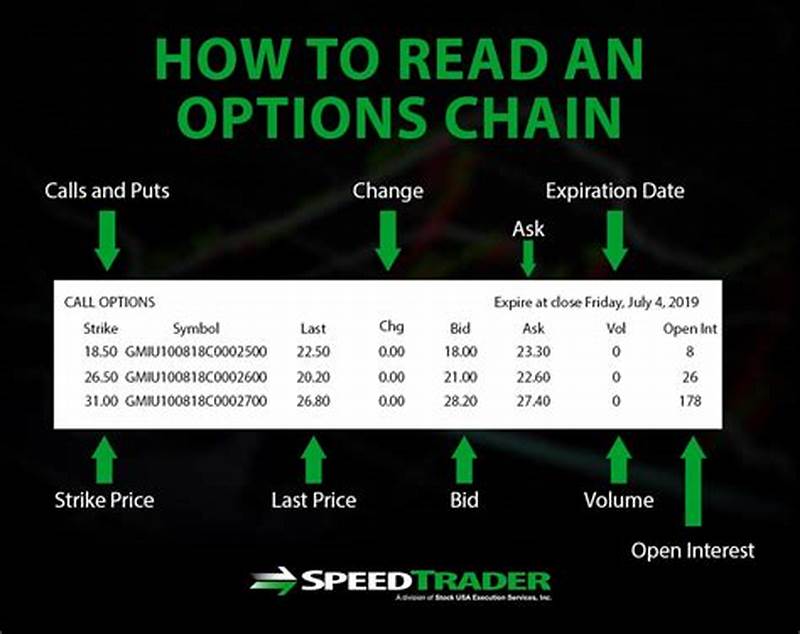How To Read Options Chart