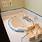 How-To-Refinish-A-Bathtub