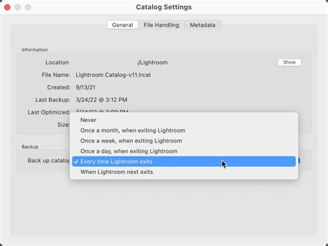 How To Repair A Corrupt Lightroom Catalog