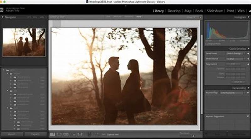 How To Use Multiple Catalogs In Lightroom