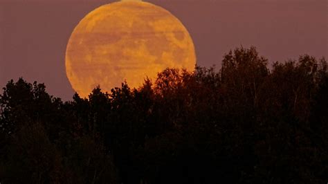 How and When You Can See November's Supermoon