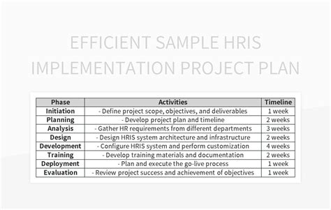 Hris Implementation Project Plan Template