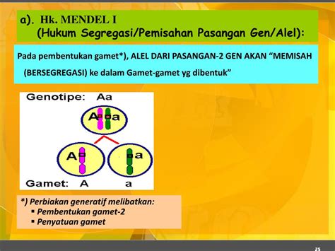 Hukum Segregasi