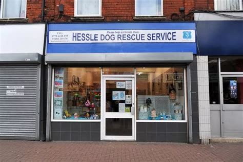 Hull and Hessle Dog Services