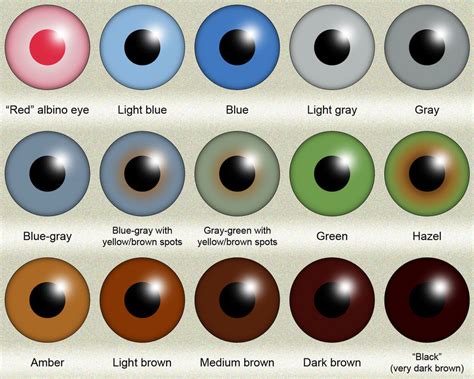 Human Eye Color Chart