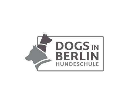 Hundeschule DOGS IN BERLIN