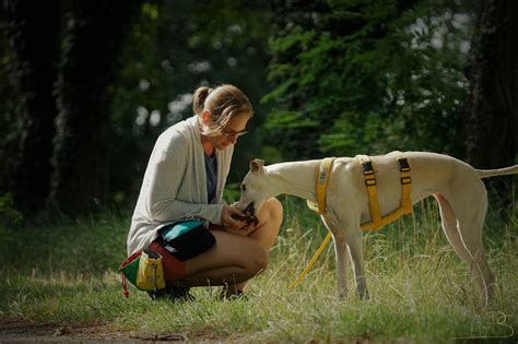 Hundeverhaltenstherapie & Hundeschule Wiesbaden