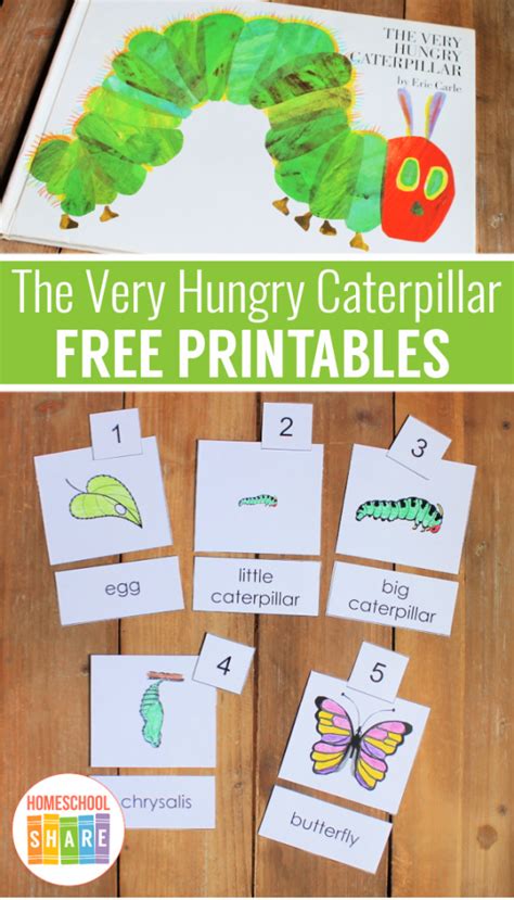 Hungry Caterpillar Book Printable