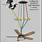 Hunter-Ceiling-Fan-Wiring-Diagram