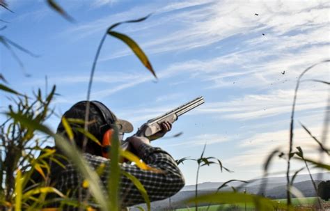 Hunting sporting à Voiron