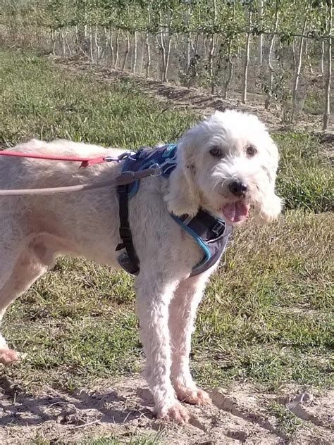 Hus Bernard à Manosque