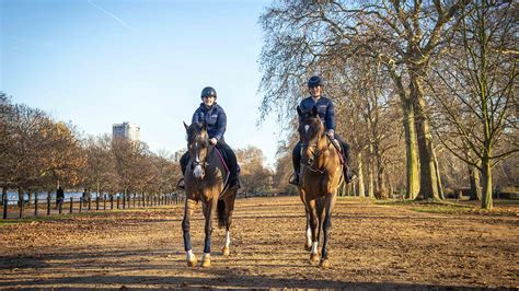 Hyde Park Stables - Horse Riding Central London
