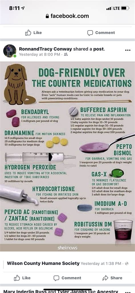 Hydrogen Peroxide Dosage For Dogs Chart