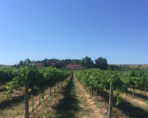 IDECLIM à Bages