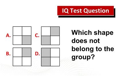 Test Question Examples