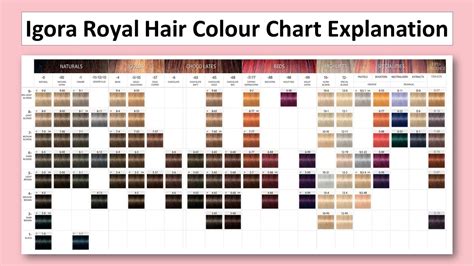 Igora Permanent Hair Color Chart