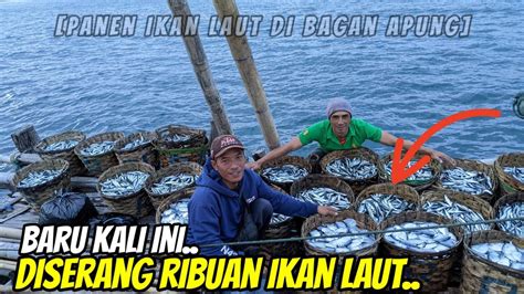 Ikan Auto à Aulnat