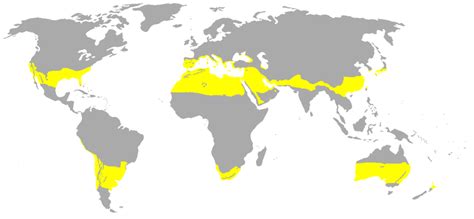 Iklim Subtropis