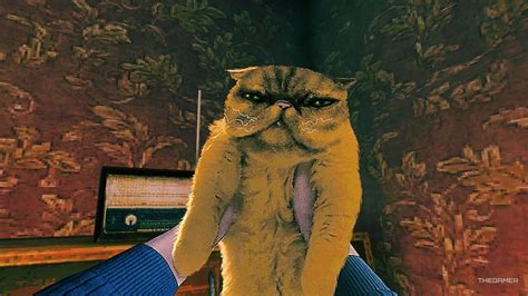 Im Not Fit To Run The Catalog