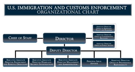 Immigration And Customs Enforcement Organizational Chart