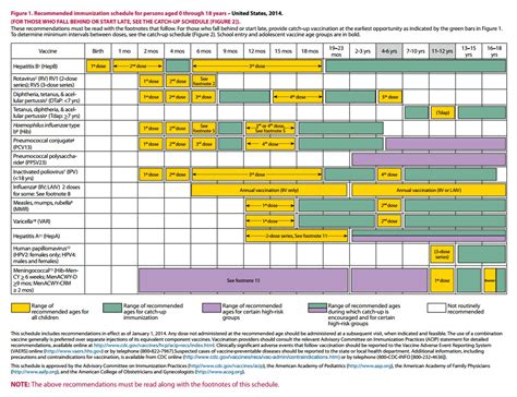 Immunization Age Chart